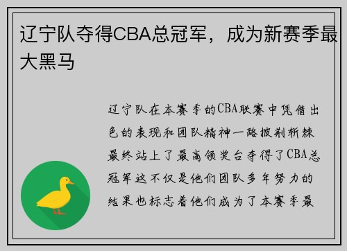 辽宁队夺得CBA总冠军，成为新赛季最大黑马